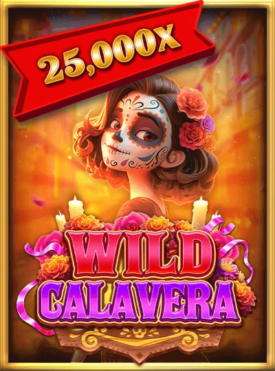 a80slot